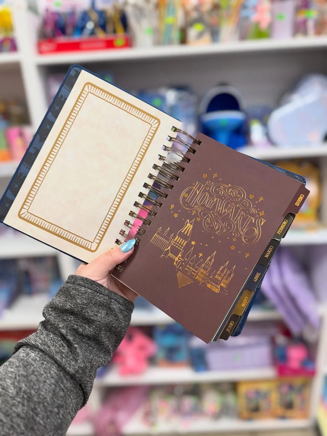 🔥Last Day 50% OFF🔥The Muggle Agenda 2026 - Magical Planner for Muggle