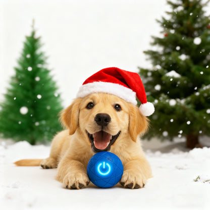 🔥🎁 A Christmas Surprise for Your Fur Baby! ✨ Pet Bounce Ball for Cats🐱 & Dogs🐶