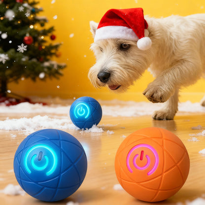 🔥🎁 A Christmas Surprise for Your Fur Baby! ✨ Pet Bounce Ball for Cats🐱 & Dogs🐶