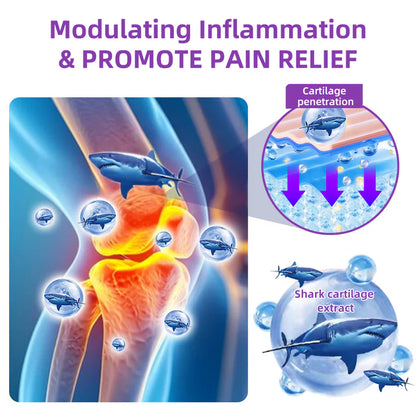 🔥ODALIT™Don't let the joints cause paralysis