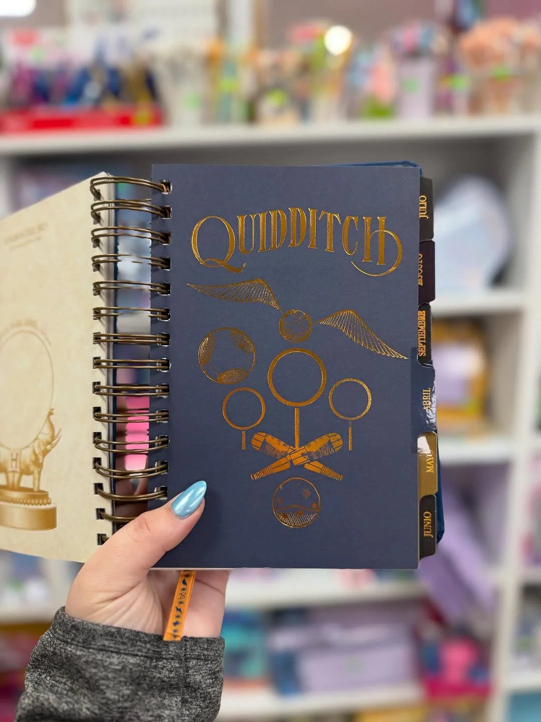 🔥Last Day 50% OFF🔥The Muggle Agenda 2026 - Magical Planner for Muggle