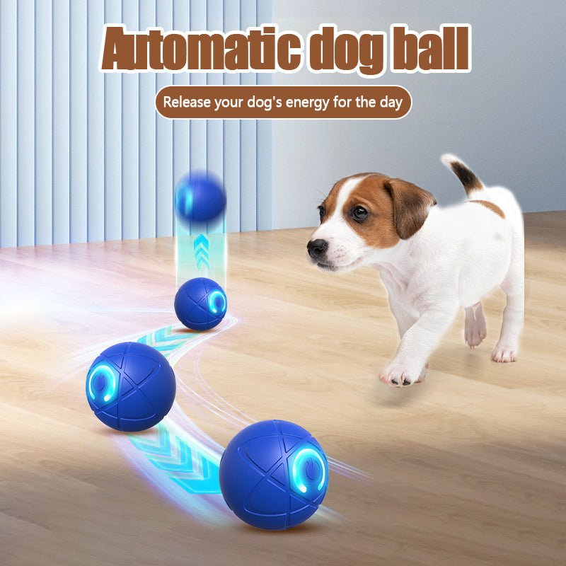 ✨✨2025 New Release -50% Off - Pet Bounce Ball for Cats🐱 & Dogs🐕