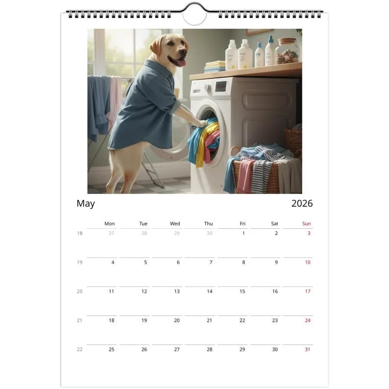 Labrador dog Calendar 2026 - Daily Activities