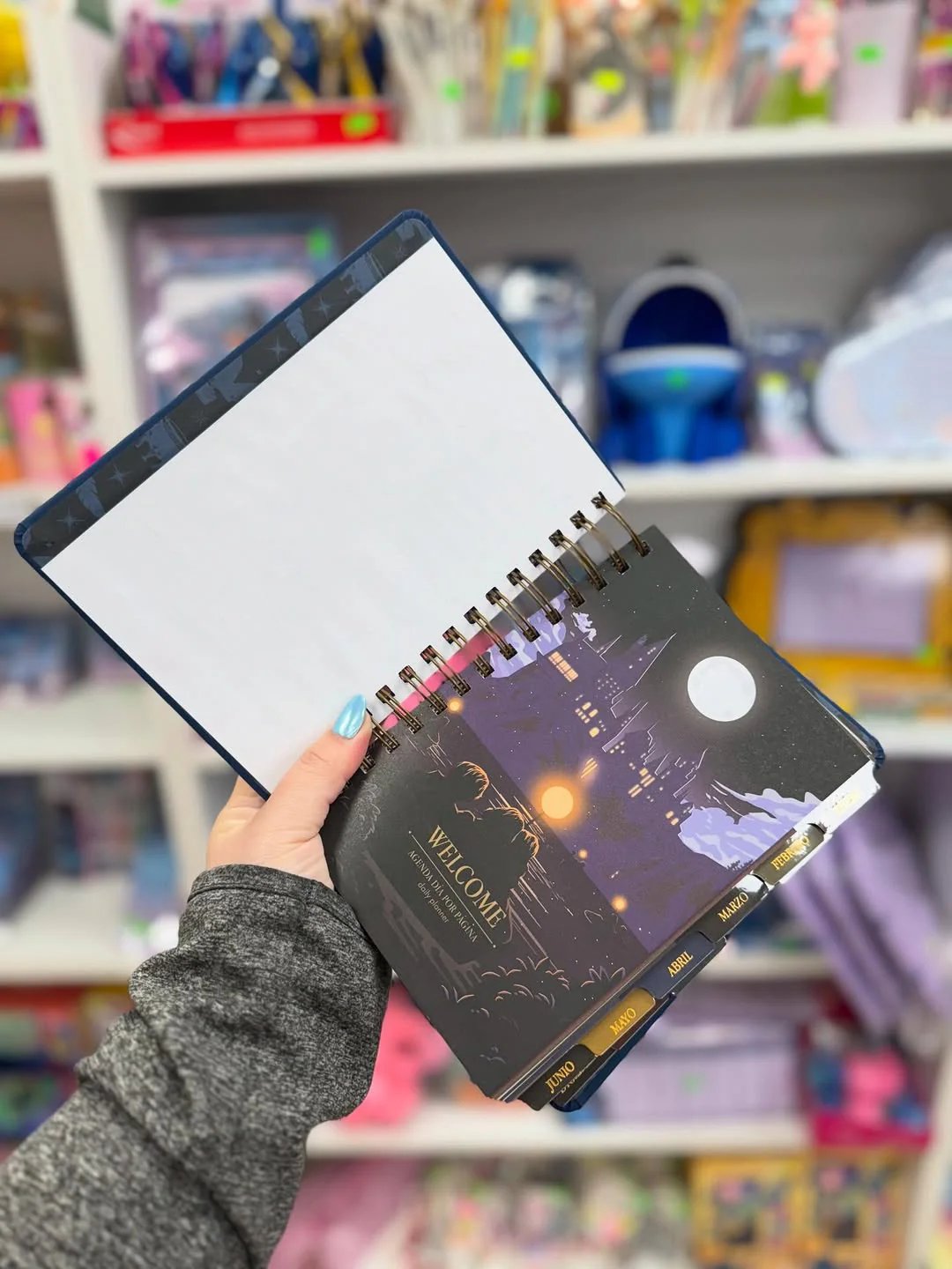 🔥Last Day 50% OFF🔥The Muggle Agenda 2026 - Magical Planner for Muggle