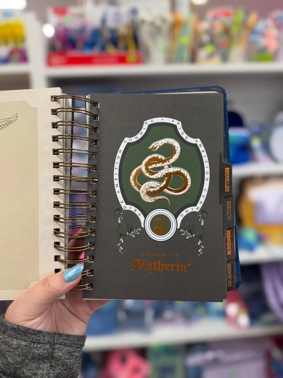 🔥Last Day 50% OFF🔥The Muggle Agenda 2026 - Magical Planner for Muggle