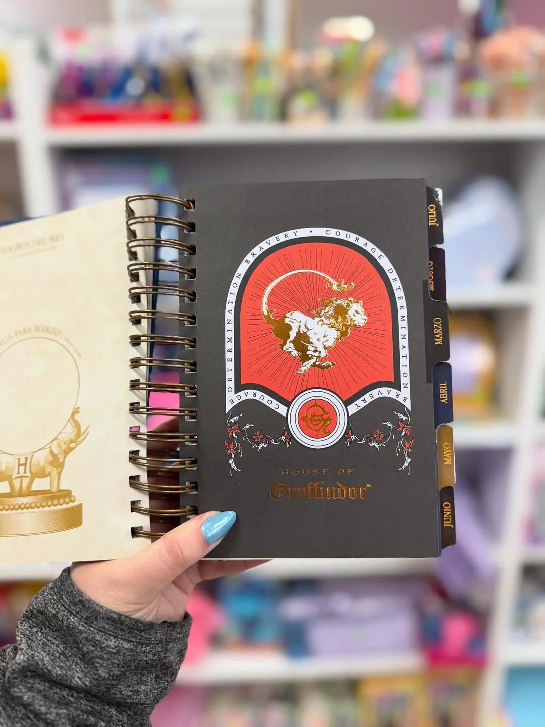 🔥Last Day 50% OFF🔥The Muggle Agenda 2026 - Magical Planner for Muggle