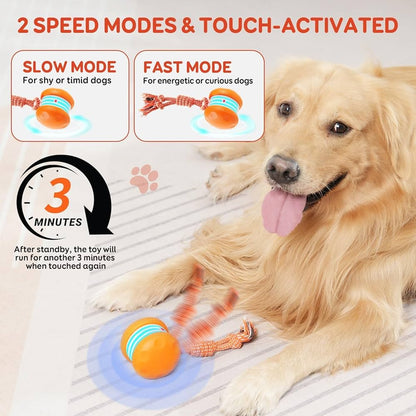 🐶The YOBENSUN™ – Keep Your Pet Relaxed, Happy & Content 🐾