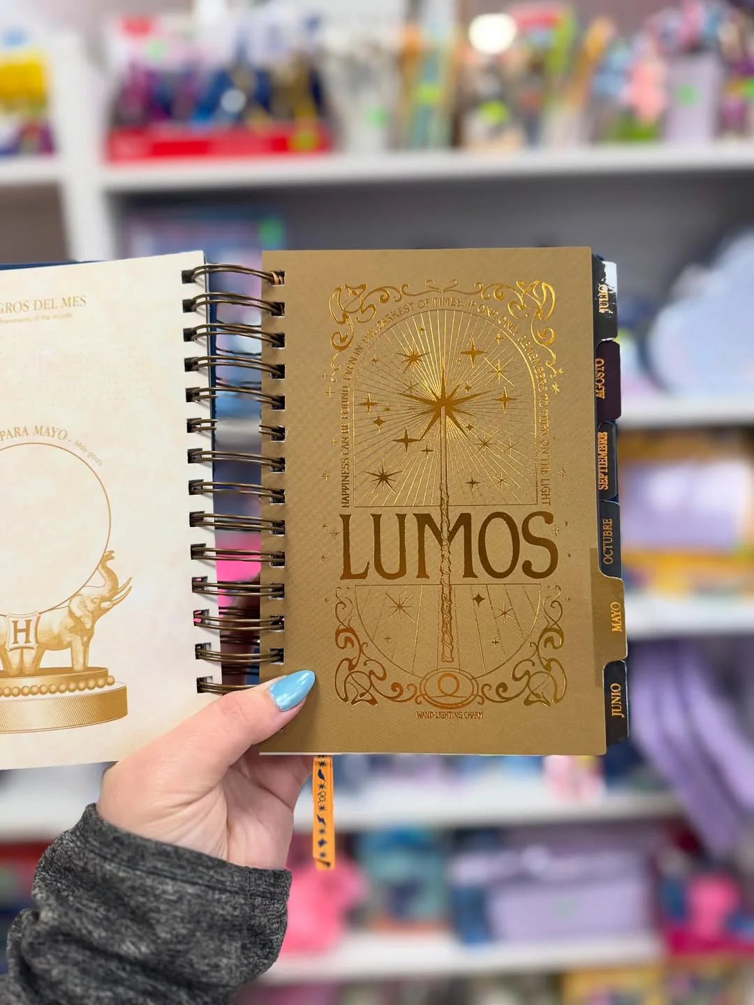 🔥Last Day 50% OFF🔥The Muggle Agenda 2026 - Magical Planner for Muggle