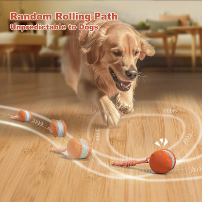 🐶The YOBENSUN™ – Keep Your Pet Relaxed, Happy & Content 🐾