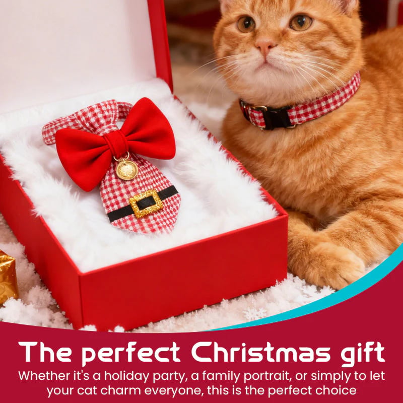 🔥Hot Sale 50% OFF - 🎄 The "Purrfect" Holiday Tie: Dapper Cat Collars 🐱✨