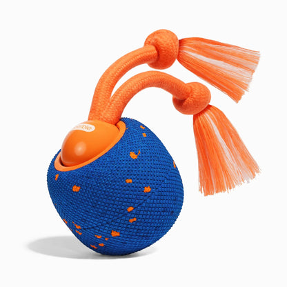 🔥Last Day 50% OFF-Wicked Ball Rolly
