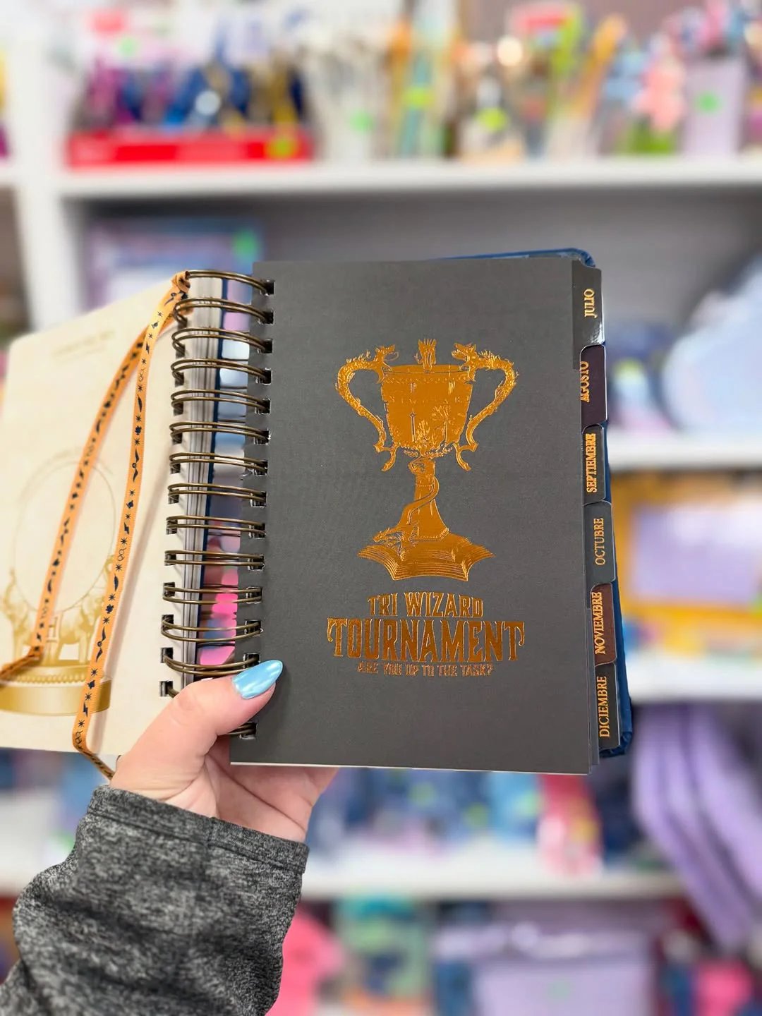 🔥Last Day 50% OFF🔥The Muggle Agenda 2026 - Magical Planner for Muggle