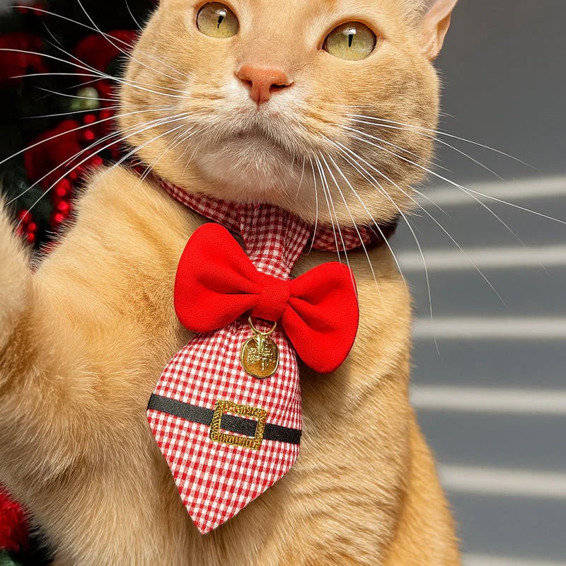🔥Hot Sale 50% OFF - 🎄 The "Purrfect" Holiday Tie: Dapper Cat Collars 🐱✨
