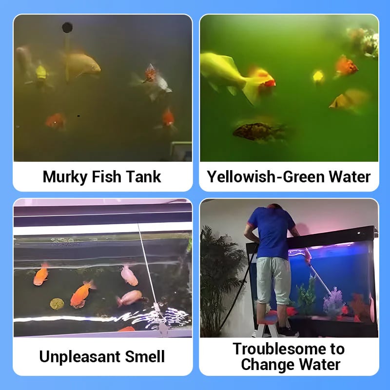 🐠💧Powerful Aquarium Water Purification Tablet
