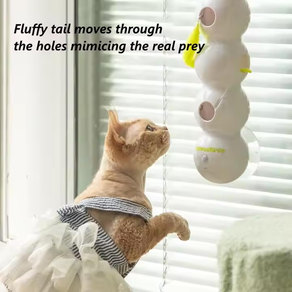 🔥Last Day 49% OFF - 😻🐛Whack a Mole Cat Toy