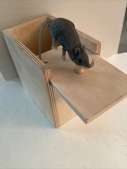 ODALIT™ Super Funny Crazy Prank Gift Box Spider🎁